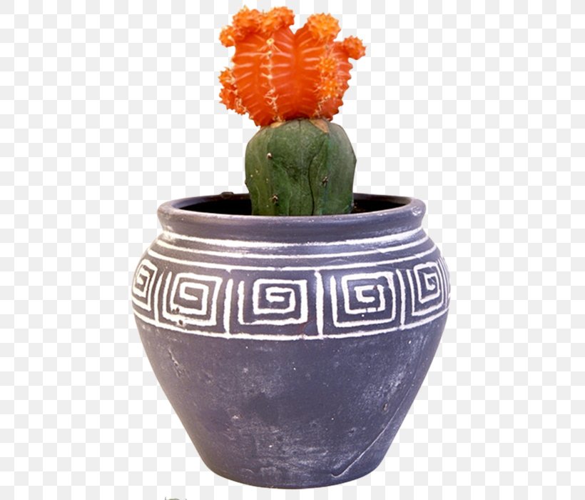 Cactus Flowerpot Houseplant Bonsai Vase, PNG, 461x700px, Cactus, Bonsai, Ceramic, Crock, Flower Download Free