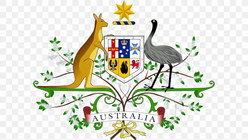 Coat Of Arms Of Australia National Symbols Of Australia Stock Photography, PNG, 600x463px, Coat Of Arms Of Australia, Australia, Coat Of Arms, Coat Of Arms Of Venezuela, Coat Of Arms Of Western Australia Download Free