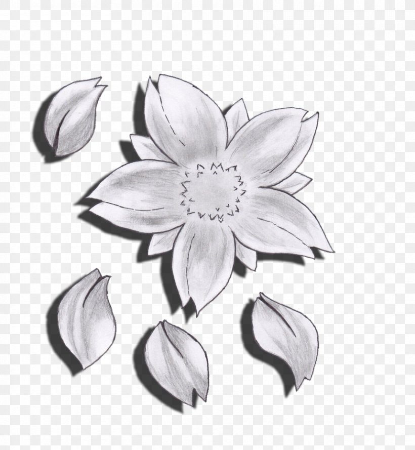 Flower Drawing Cherry Blossom Sketch, PNG, 858x931px, Flower, Black And White, Blossom, Body Jewelry, Cherry Download Free