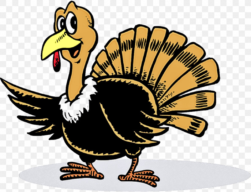 Bird Turkey Beak Cartoon Flightless Bird, PNG, 1079x828px, Bird, Beak, Cartoon, Dodo, Ducks Geese And Swans Download Free