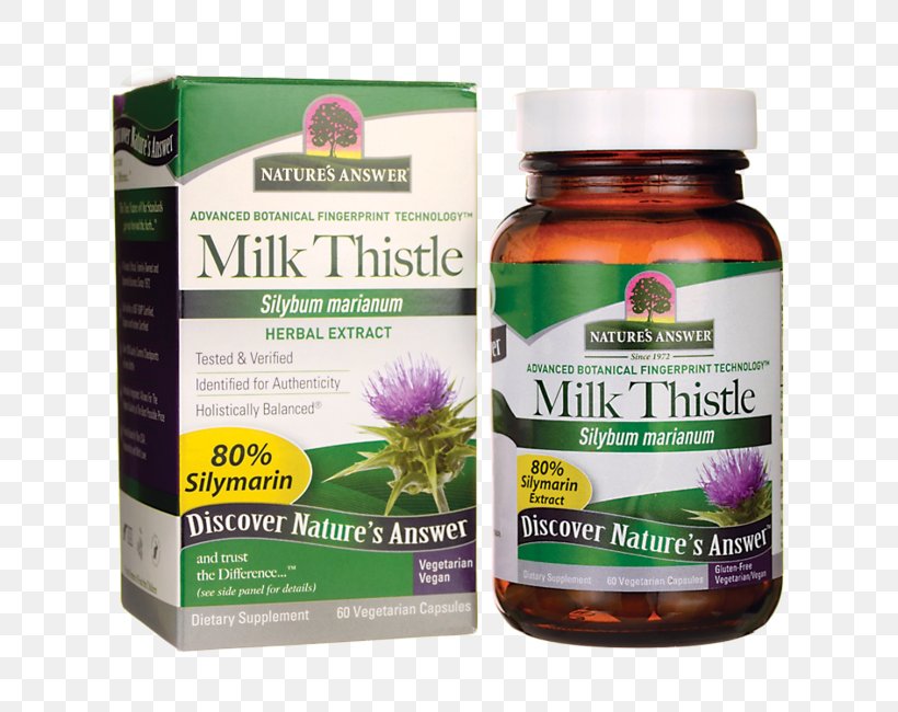 Herb Dietary Supplement Extract Capsule Milk Thistle, PNG, 650x650px, Herb, Adaptogen, Blueberry, Capsule, Diet Download Free