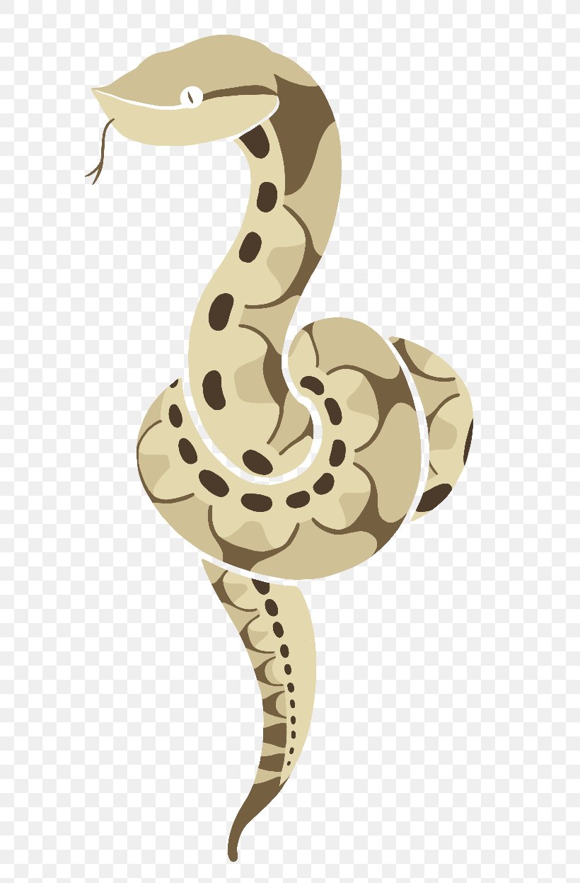 Boa Constrictor Rattlesnake Deinagkistrodon Vipers, PNG, 653x1247px, Boa Constrictor, Boas, Deinagkistrodon, Ipass, Length Download Free
