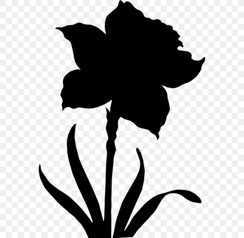 Clip Art Leaf Silhouette Plant Stem Flowering Plant, PNG, 560x800px, Leaf, Black M, Blackandwhite, Botany, Flower Download Free