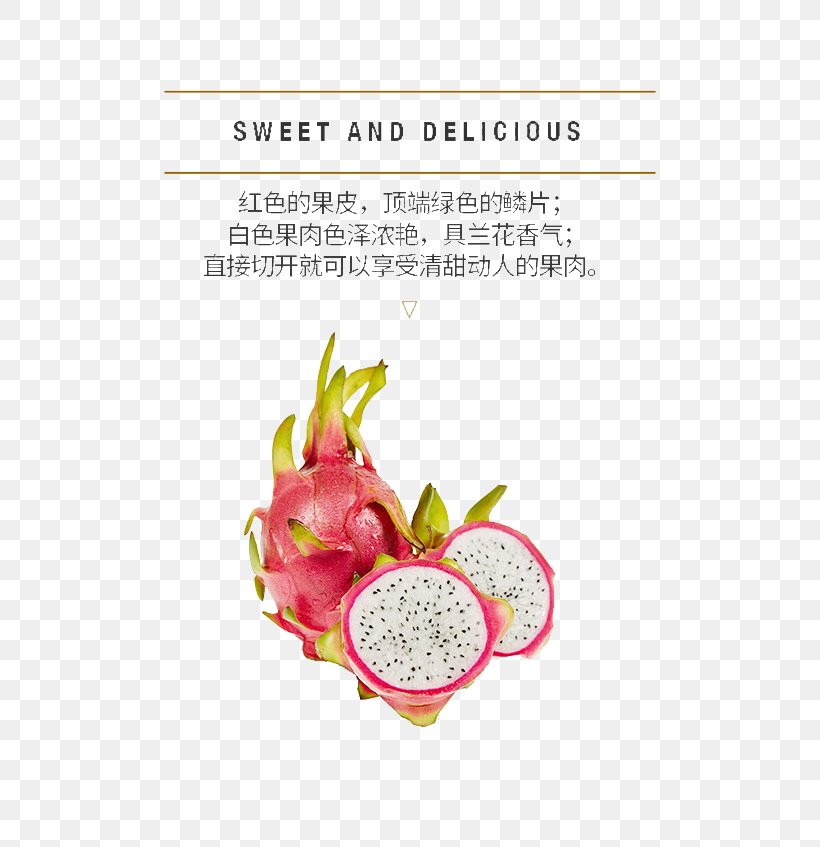 Pitaya Download Strawberry Computer File, PNG, 790x847px, Pitaya, Chinese Herbology, Food, Fruit, Glycyrrhiza Uralensis Download Free