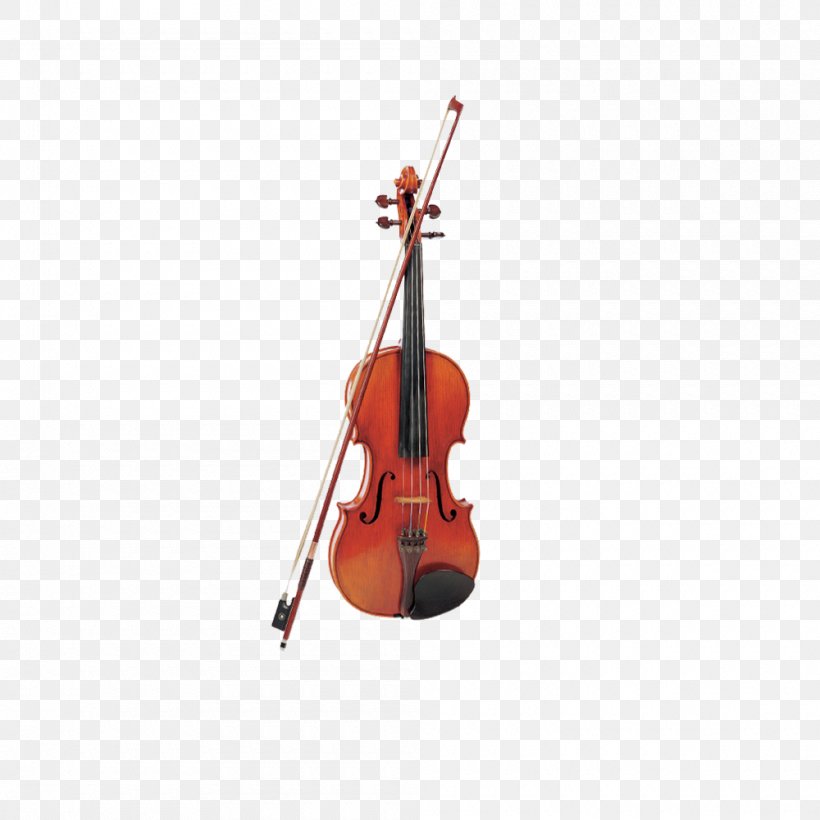 Bass Violin Violone Viola Musical Instrument, PNG, 1000x1000px, Watercolor, Cartoon, Flower, Frame, Heart Download Free