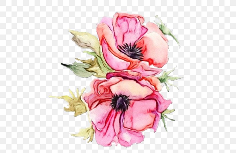 Flower Pink Petal Plant Watercolor Paint, PNG, 480x532px, Watercolor, Anemone, Cut Flowers, Flower, Flowering Plant Download Free