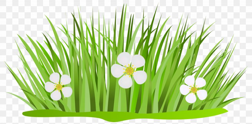 Free Content Clip Art, PNG, 8000x3951px, Free Content, Commodity, Flower, Flowering Plant, Grass Download Free