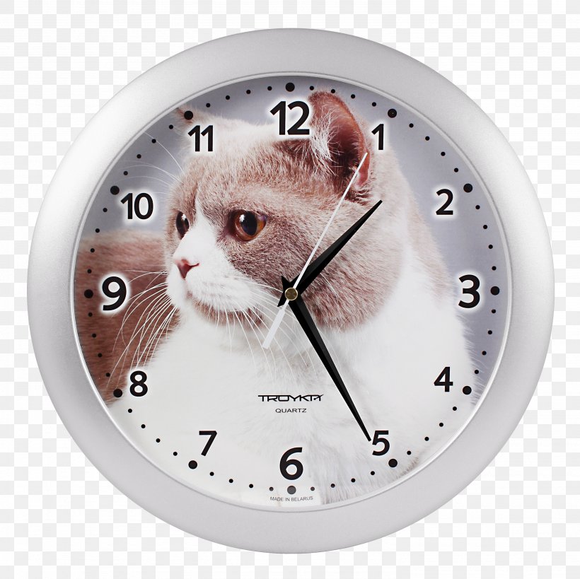 Internet Moscow Online Shopping Whiskers Clock, PNG, 2976x2976px, Internet, Brand, Cat, Cat Like Mammal, Clock Download Free