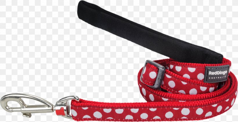 Leash Dingo Dog Red Puppy, PNG, 3000x1548px, Leash, Blue, Brown, Carabiner, Collar Download Free