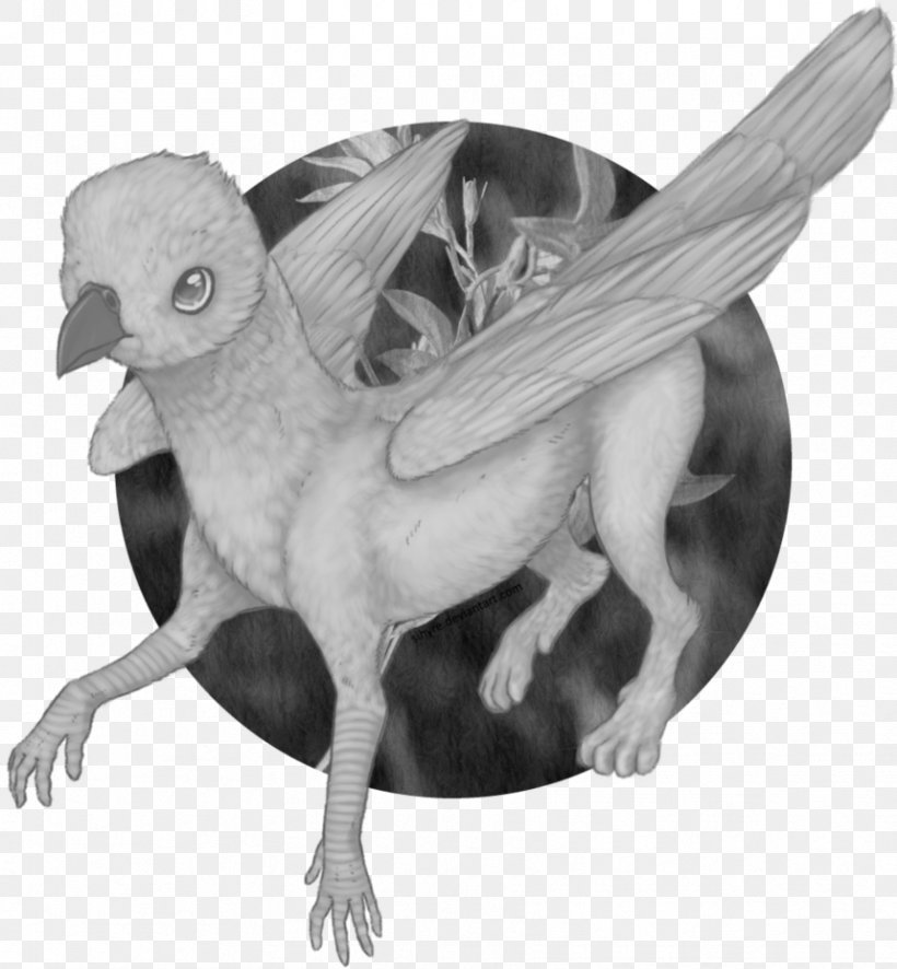 Beak Bird Of Prey Feather Legendary Creature, PNG, 859x929px, Beak, Bird, Bird Of Prey, Black And White, Fauna Download Free