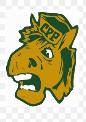 Bronco - California State Polytechnic University, Pomona California Polytechnic State University Cal Poly Pomona Broncos Men's Basketball Billy Bronco PNG