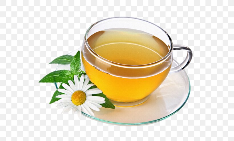 Green Tea Herbal Tea Drink Chamomile, PNG, 600x494px, Tea, Assam Tea, Black Tea, Cafe, Ceylan Download Free