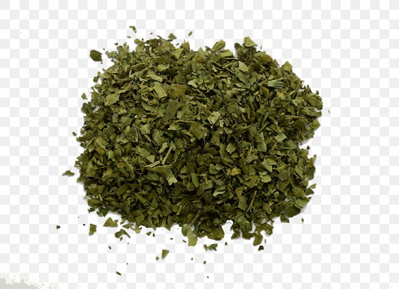 Gurmar Gymnemic Acid Herb Superfood Gymnema Inodorum, PNG, 1600x1158px, Gurmar, Ayurveda, Biluochun, Diabetes Mellitus, Dietary Supplement Download Free