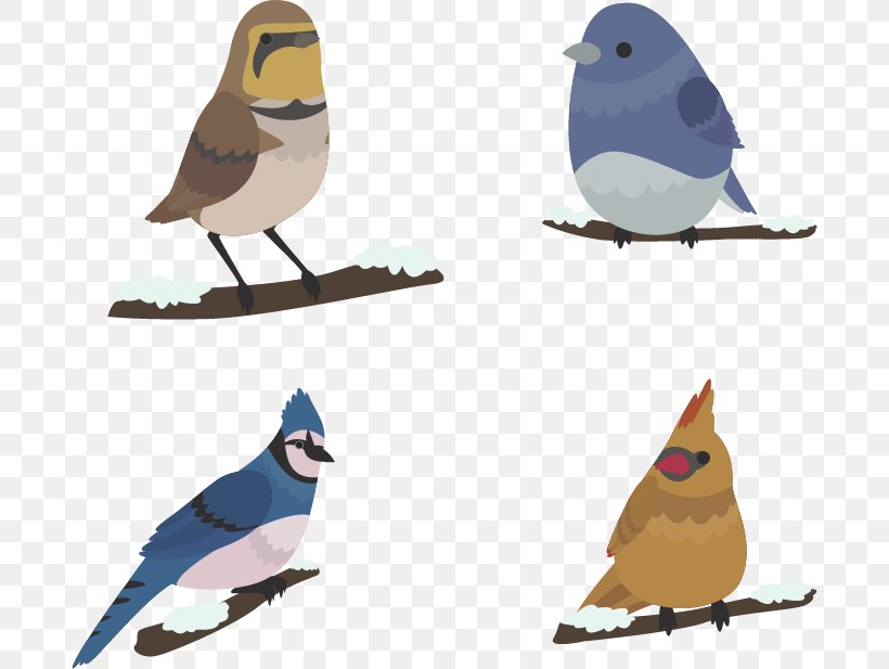 Bird Winter Euclidean Vector, PNG, 688x617px, Bird, Beak, Color, Fauna, Feather Download Free