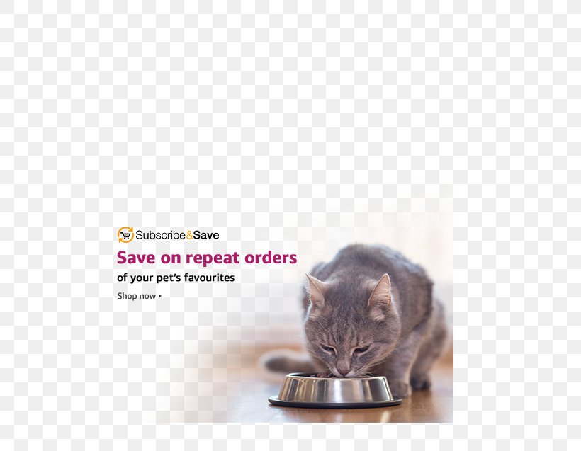 Cat Food Kitten Dog Purina One, PNG, 540x637px, Cat Food, Carnivoran, Cat, Cat Like Mammal, Cat Supply Download Free