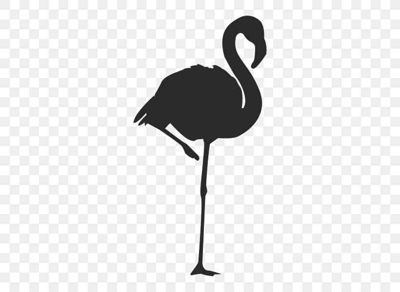 Flamingo Logo Silhouette Clip Art, PNG, 600x600px, Flamingo, Beak, Bird, Black And White, Color Download Free