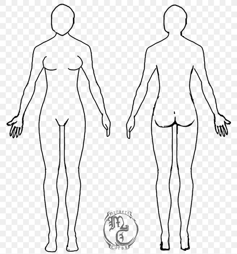 Human Body Female Body Shape Diagram Drawing Template, PNG, 800x881px,  Watercolor, Cartoon, Flower, Frame, Heart Download