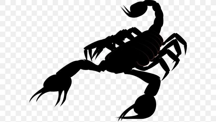 Scorpion Clip Art, PNG, 600x463px, Scorpion, Arthropod, Black And White, Blog, Insect Download Free
