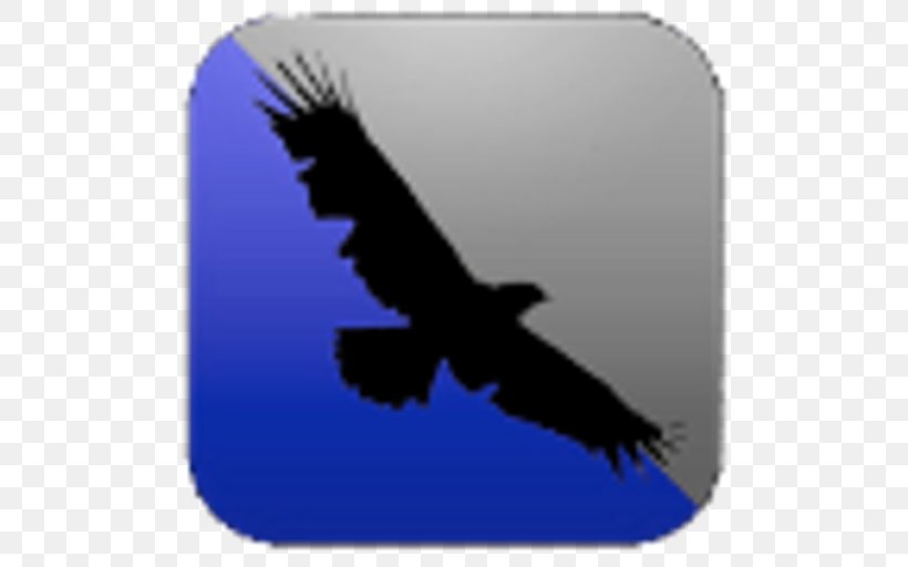 Bald Eagle Beak Sky Plc, PNG, 512x512px, Bald Eagle, Accipitriformes, Beak, Bird, Bird Of Prey Download Free