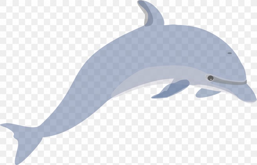 Common Bottlenose Dolphin Tucuxi Porpoise Illustration, PNG, 1280x822px, Common Bottlenose Dolphin, Blue, Dolphin, Drawing, Fauna Download Free
