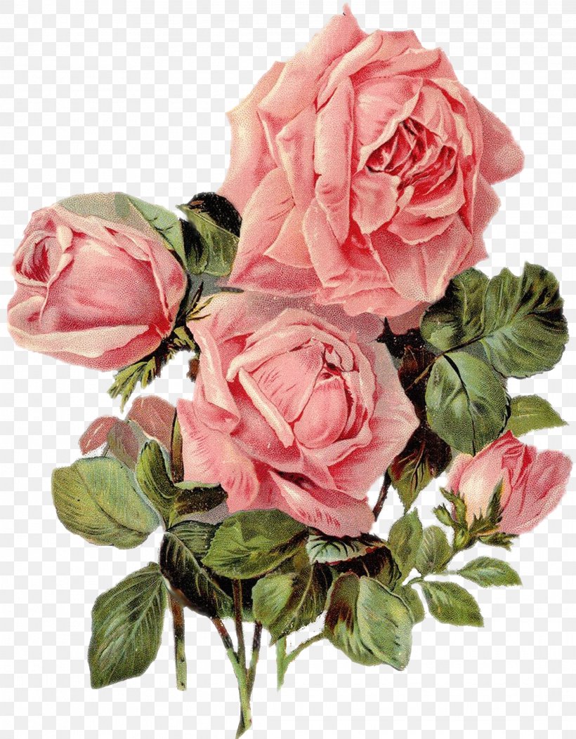 Paper Rose Printing Flower Art, PNG, 2233x2868px, Paper, Art, Artificial Flower, Catalog, Cut Flowers Download Free
