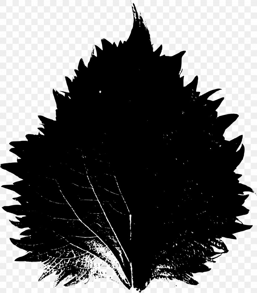 Clip Art, PNG, 1886x2155px, Inkscape, Black, Black And White, Leaf, Monochrome Download Free