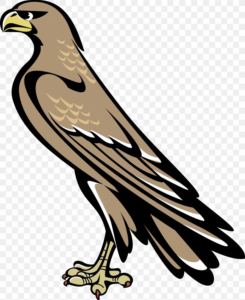 Symbol Coat Of Arms Of Australia Heraldry Crest, PNG, 3000x3673px, Symbol, Beak, Bird, Bird Of Prey, Coat Of Arms Download Free