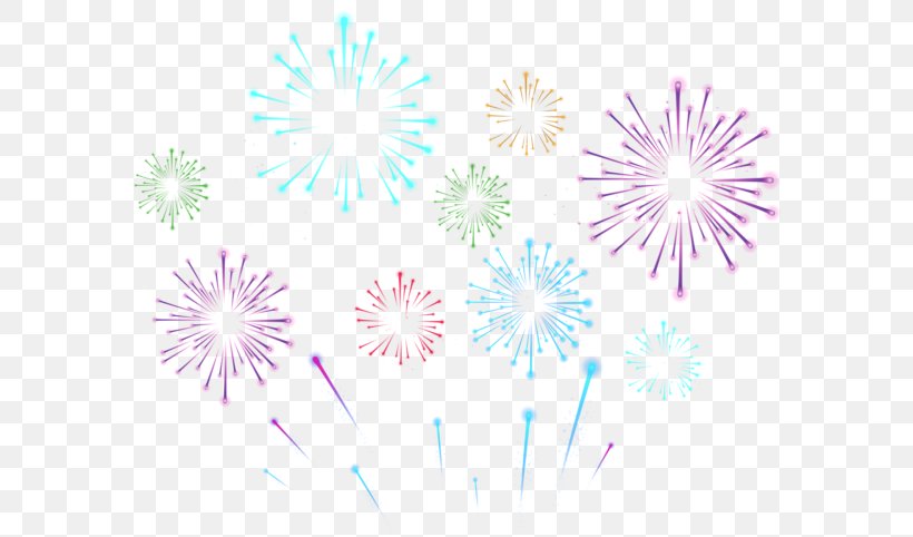 Fireworks Clip Art, PNG, 600x482px, Fireworks, Adobe Fireworks, Blog, Flower, Flowering Plant Download Free