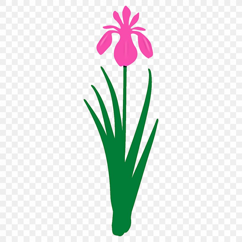 Flower Green Plant Pedicel Flowerpot, PNG, 1200x1200px, Flower, Flowerpot, Green, Pedicel, Petal Download Free