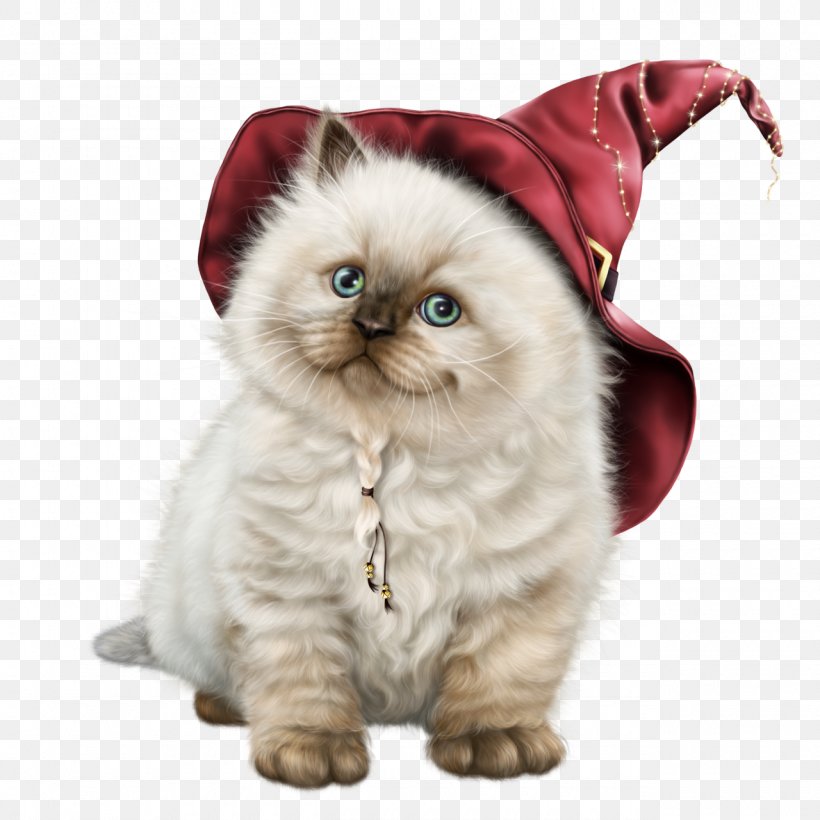 Cat Kitten Blog Clip Art, PNG, 1280x1280px, Cat, Animal, Asian, Birman, Blog Download Free