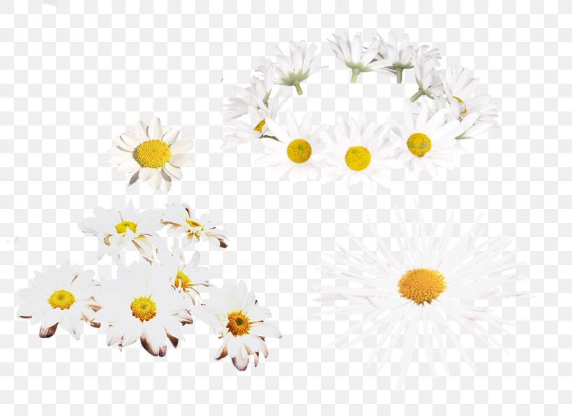 Floral Design Art Creativity Chrysanthemum, PNG, 800x597px, Art, Artistic Inspiration, Cartoon, Chamaemelum Nobile, Chinese New Year Download Free