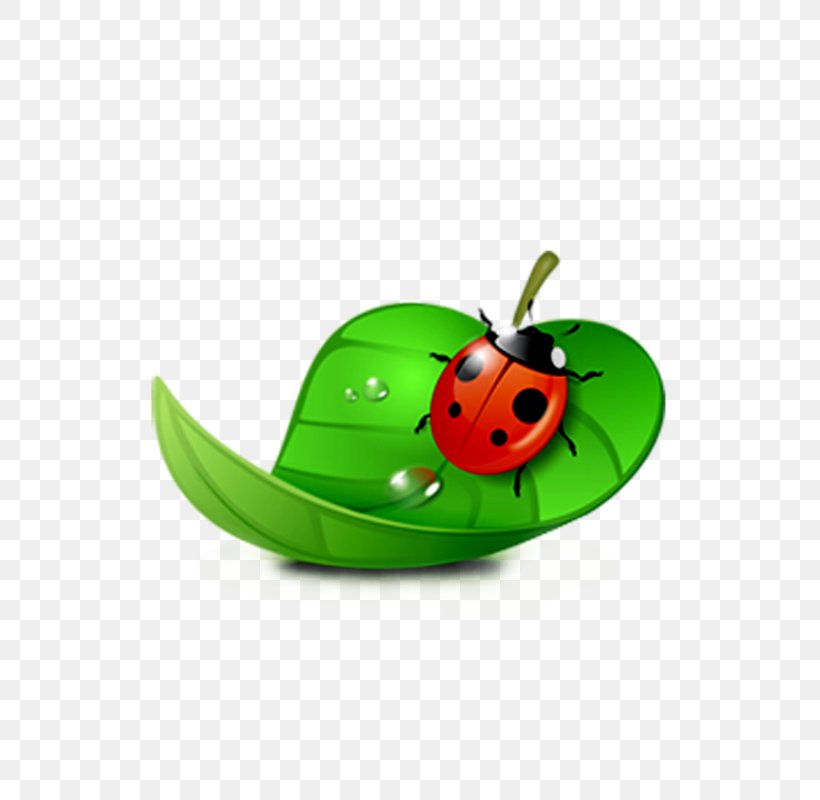 Ladybird Clip Art, PNG, 800x800px, Ladybird, Animation, Beetle, Dots Per Inch, Fruit Download Free