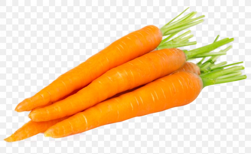 Carrot Soup Baby Food Vegetable, PNG, 885x543px, Carrot, Baby Carrot, Baby Food, Broccoli, Butternut Squash Download Free