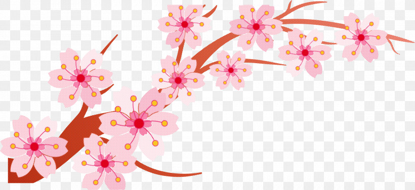Cherry Blossom, PNG, 2378x1092px, Pink, Blossom, Branch, Cherry Blossom, Flower Download Free