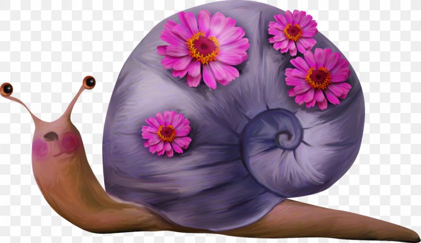 Snail Cartoon Drawing Clip Art, PNG, 1280x739px, Snail, Animation, Cartoon, Drawing, Flower Download Free