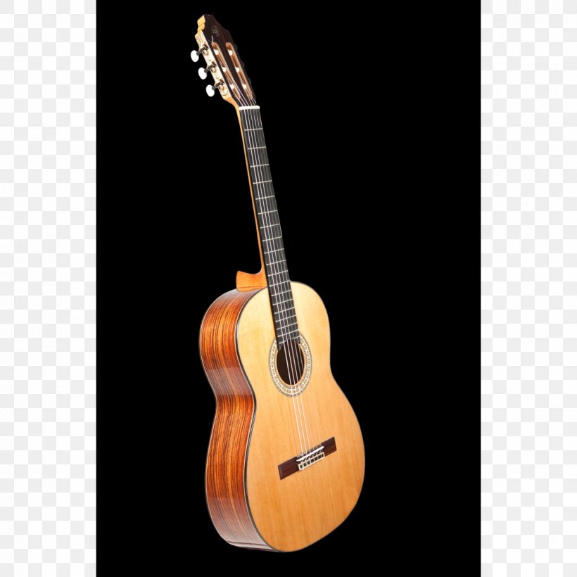 Ukulele Flamenco Guitar Fender Telecaster Cutaway, PNG, 1200x1200px, Ukulele, Acoustic Electric Guitar, Acoustic Guitar, Bridge, Cavaquinho Download Free