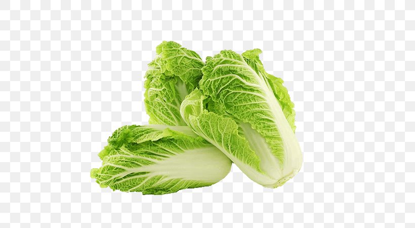 Vegetable Leaf Vegetable Romaine Lettuce Food Leaf, PNG, 660x450px, Vegetable, Celtuce, Food, Iceburg Lettuce, Leaf Download Free
