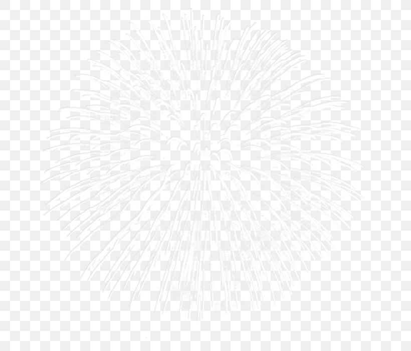 Black & White, PNG, 700x700px, Black White M, Symmetry, Tree, White Download Free