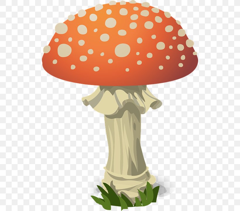 Fungus Amanita Muscaria Mushroom Clip Art, PNG, 534x720px, Fungus, Agaric, Amanita, Amanita Muscaria, Common Mushroom Download Free