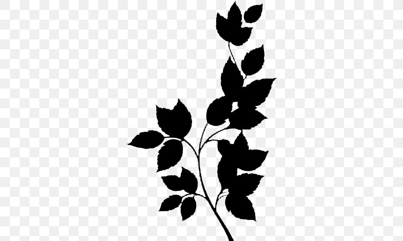 Black & White, PNG, 700x490px, Black White M, Black M, Blackandwhite, Botany, Branch Download Free
