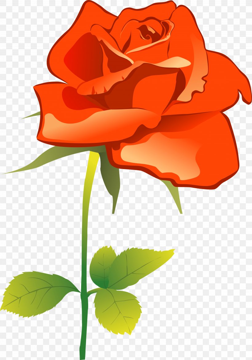 Garden Roses Flower Clip Art, PNG, 5249x7485px, Garden Roses, Annual ...