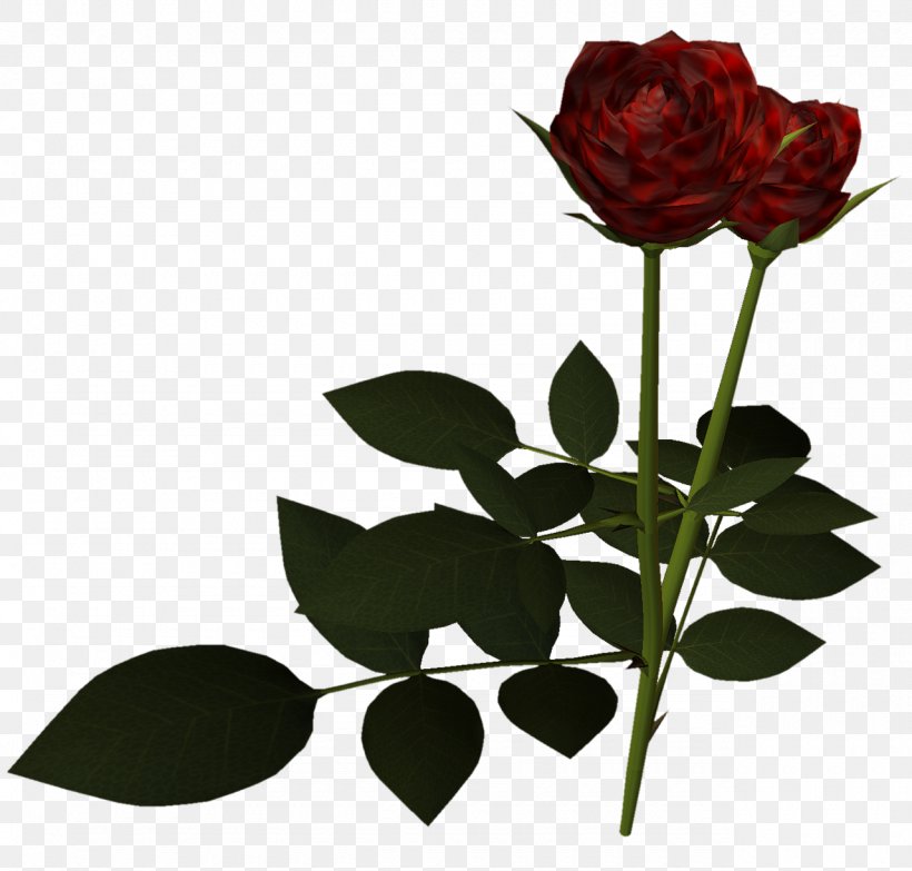 Garden Roses Red Pink, PNG, 1280x1223px, Garden Roses, Cut Flowers, Flora, Floral Design, Floristry Download Free