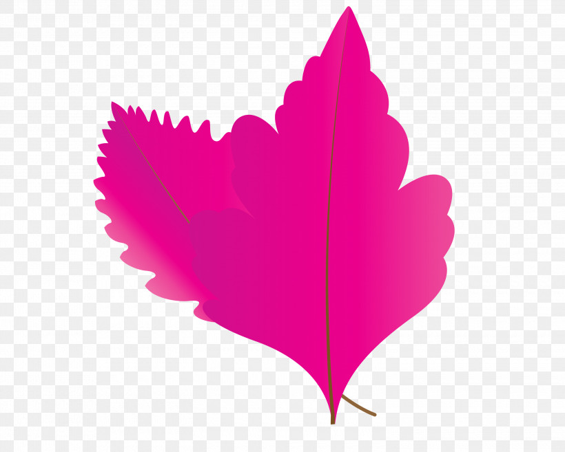 Maple Leaf, PNG, 3000x2407px, Autumn Leaf, Biology, Cartoon Leaf, Fall Leaf, Heart Download Free