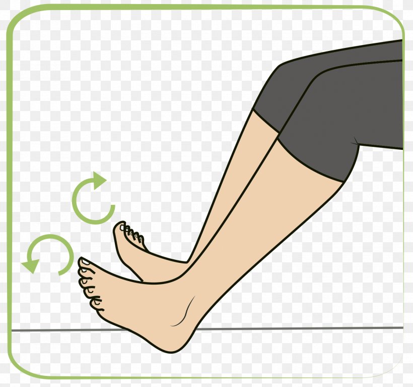 ankle clipart