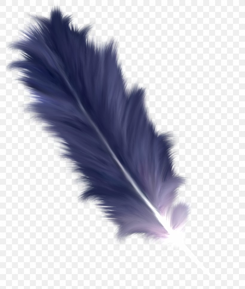 Writing Cartoon, PNG, 1081x1280px, Feather, Blue, Pen, Purple, Quill Download Free