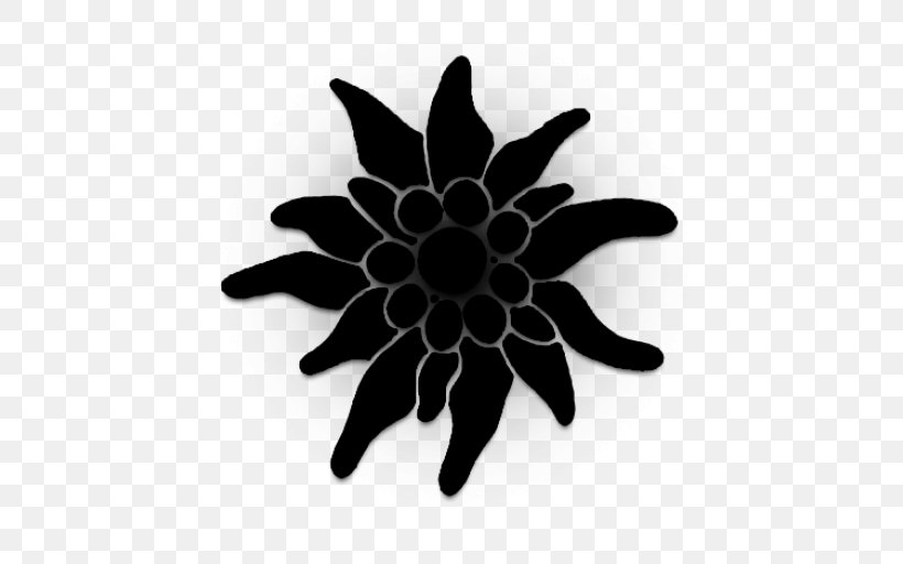 Black M, PNG, 512x512px, Black M, Black, Blackandwhite, Flower, Monochrome Photography Download Free