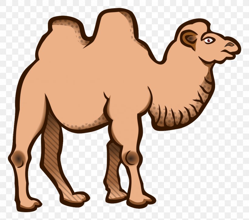 Wild Bactrian Camel Dromedary Clip Art, PNG, 1210x1070px, Bactrian Camel, Animal Figure, Arabian Camel, Camel, Camel Like Mammal Download Free