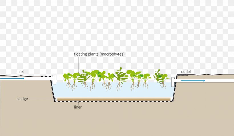 Aquatic Plants Pond Water Purification Fish Farming, PNG, 2000x1159px, Aquatic Plants, Area, Brand, Common Water Hyacinth, Diagram Download Free