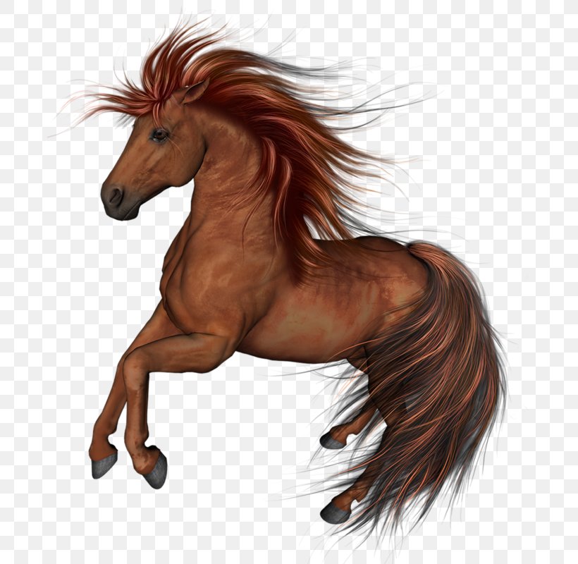 Mustang Arabian Horse Thoroughbred Clip Art, PNG, 685x800px, Mustang, Arabian Horse, Black, Bridle, Equestrian Download Free