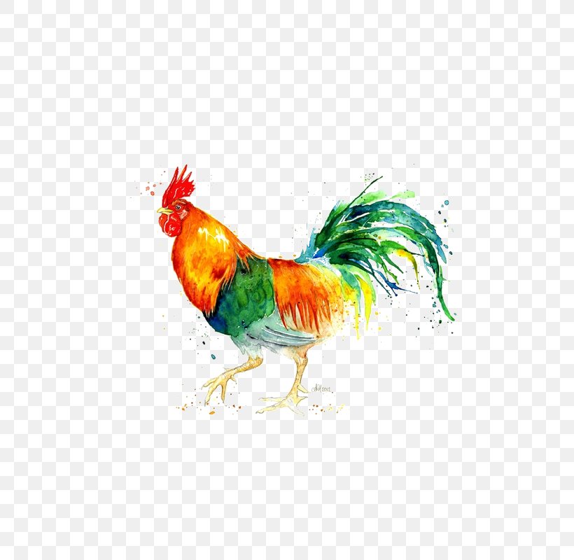 Chicken Watercolor: Animals Watercolor Painting Rooster, PNG, 800x800px, Chicken, Art, Beak, Bird, Chicken Meat Download Free